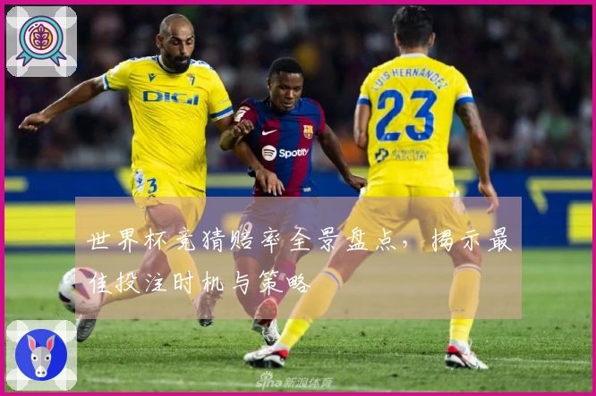 世界杯竞猜赔率全景盘点，揭示最佳投注时机与策略