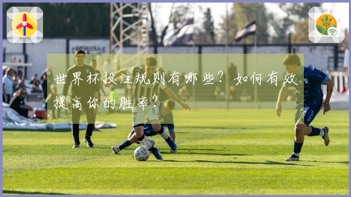 世界杯投注规则有哪些？如何有效提高你的胜率？