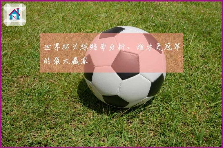 世界杯买球赔率分析，谁才是冠军的最大赢家
