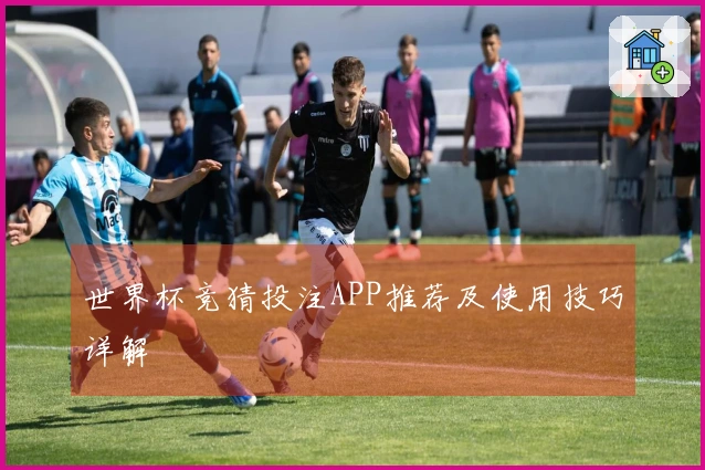 世界杯竞猜投注APP推荐及使用技巧详解
