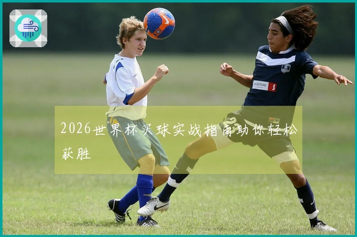 2026世界杯买球实战指南助你轻松获胜