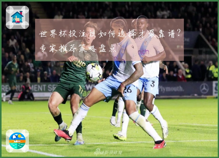 世界杯投注该如何选择才最靠谱？专家推荐策略盘点