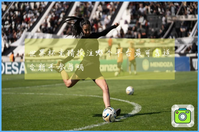 世界杯竞猜投注哪个平台最可靠适合新手参与吗
