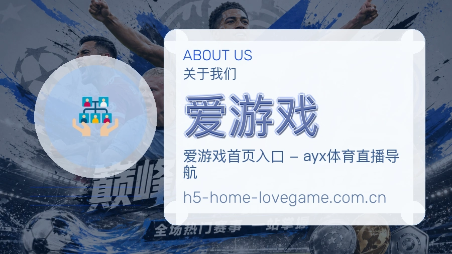 品牌说明