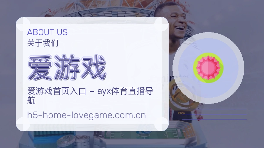 说明方式
